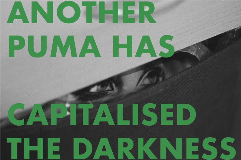 5.jpg Schwarz-Weiß Bild mit verzerrten Augen, die dursch einen schlitz schauen, darüber der Schriftzug "Another puma has capitalised the darkness" in grün.