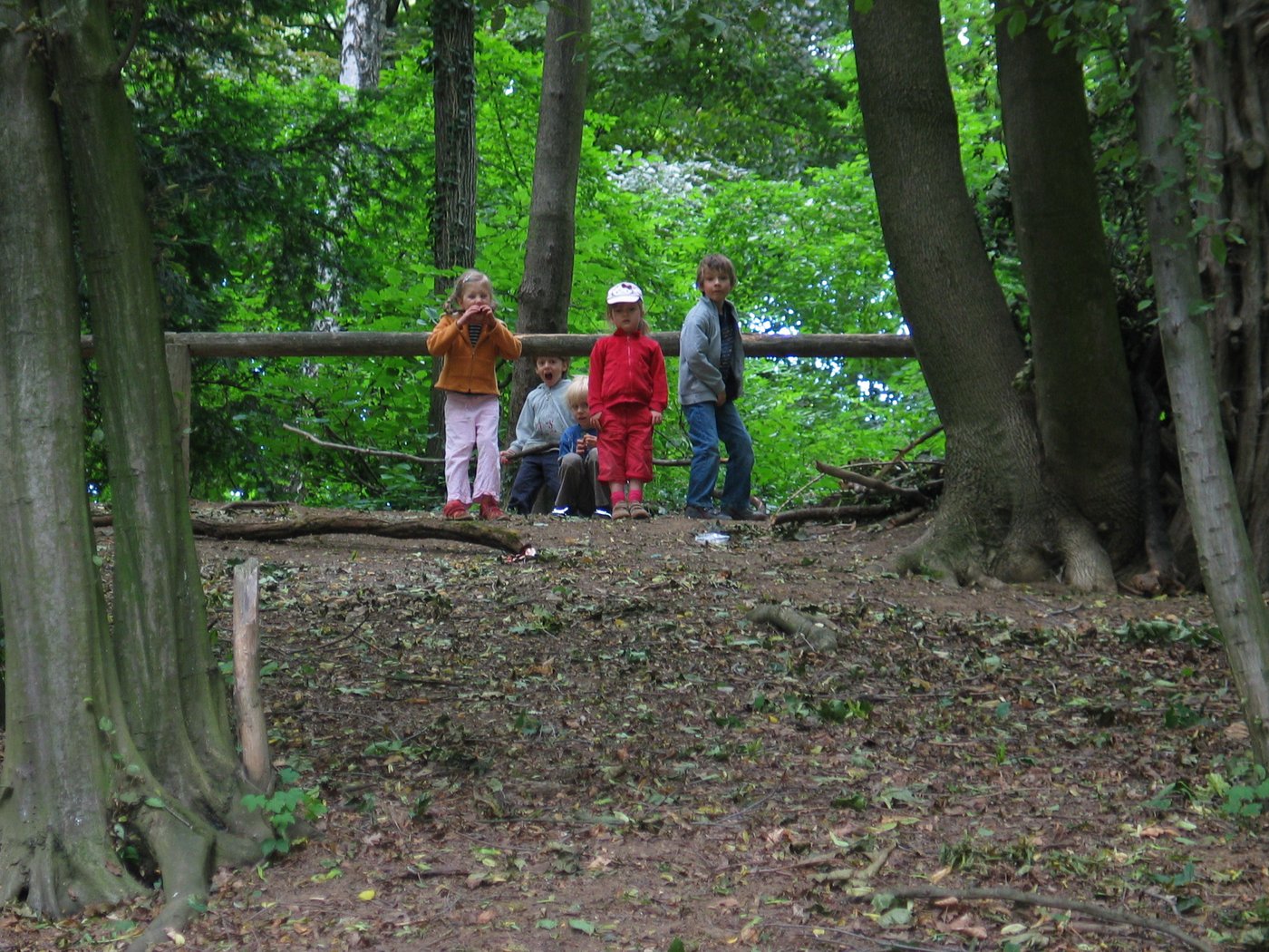Stimmungsbild: Kinder im Wald